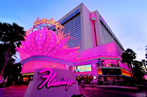 pink flamingo casino las vegas